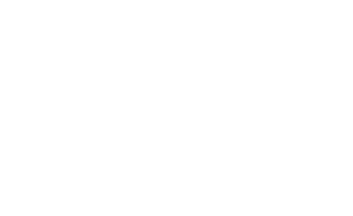 logo Camelogravures
